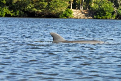 February 24, 2012 Pine Island, Florida