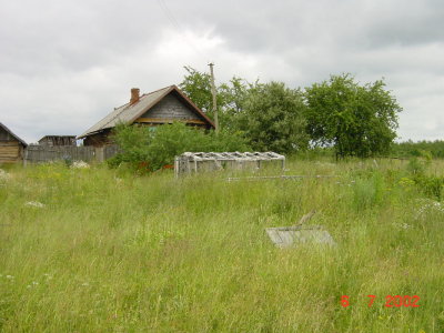 16018384.JPG