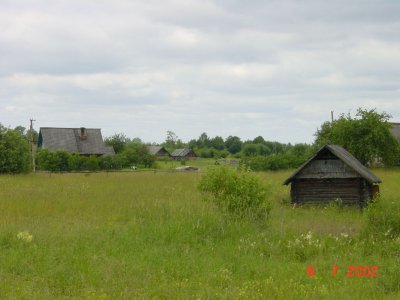 16018397.JPG