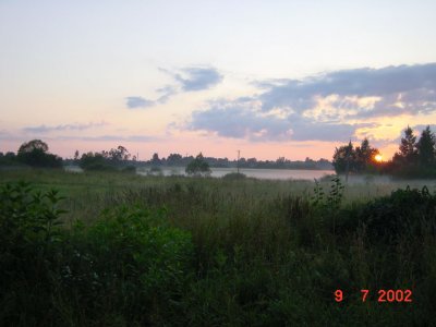16018642.JPG