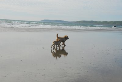 DSC_0325.JPG