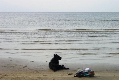 07.08.2011