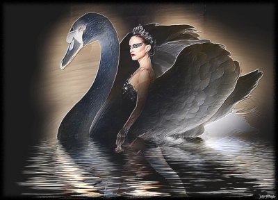 Black Swan