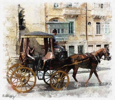 Horse Drawn Carriage by Chris Duffy - July 2011