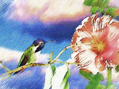 Hummer & HollyHock