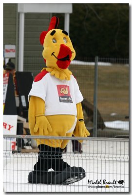IMG_6041.jpg