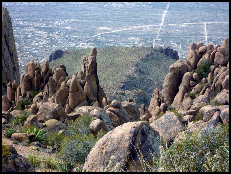 A View North from the Summit