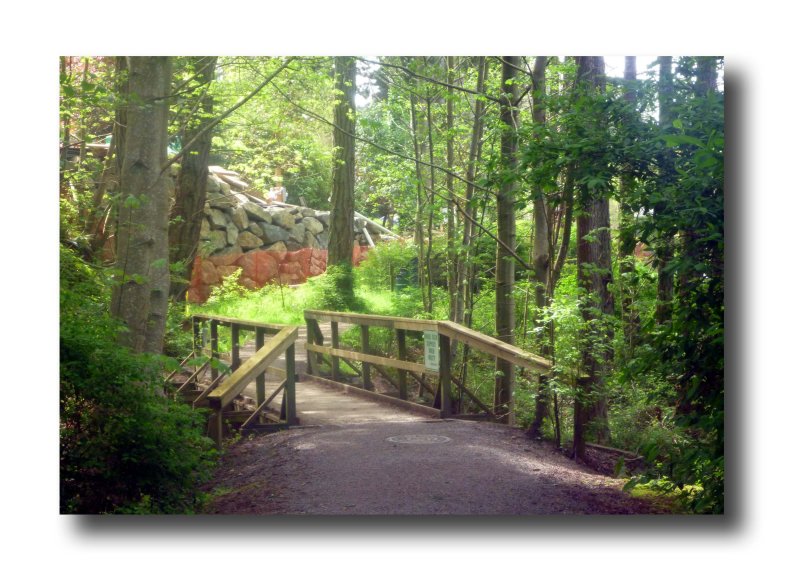 Rithet's Bog Bridge