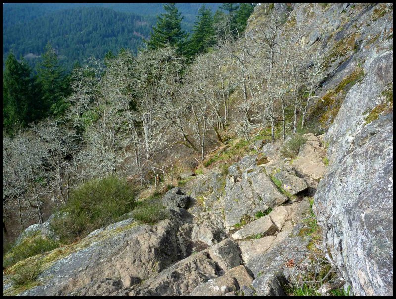 Mt. Finlayson Climb 6