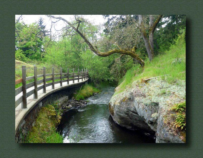 Colquitz River Creek Trail