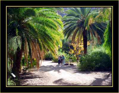 Boyce Thompson Arboretum - Chapter 7