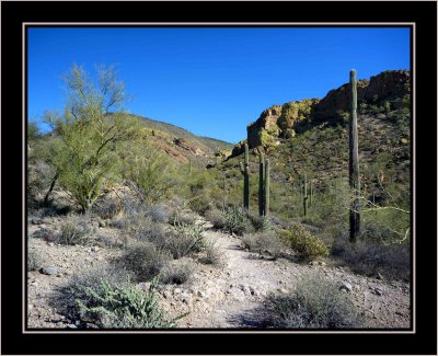 Arizona Hikes and Drives - Chapter 6 - Hackberry Springs Trail