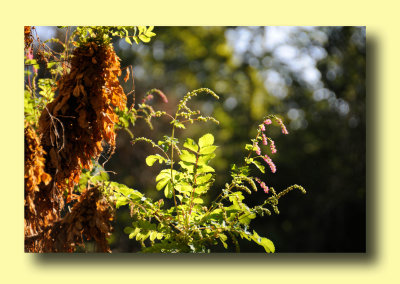 g4/96/272796/3/140810692.FUnAik5r.jpg