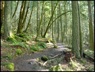 Spencer Butte Trail 1