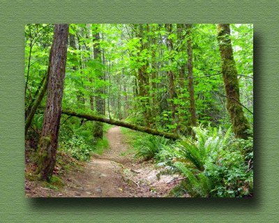Durrance Lake Trail