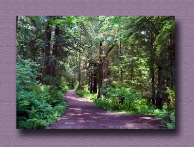 Iron Mine Bay Trail