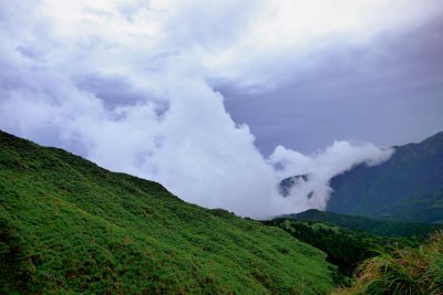 P1000338.jpg