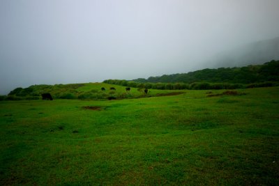 P1000410.jpg