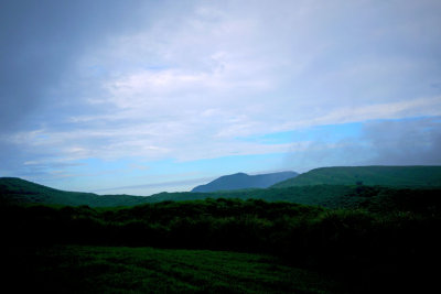 P1000415.jpg