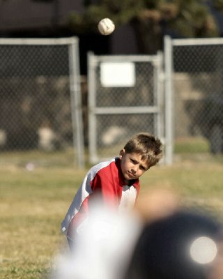 tbCRW_2312_JFR.JPG