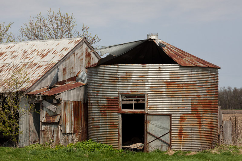 Bin and Shed