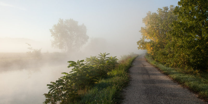 Early Morning Fog 