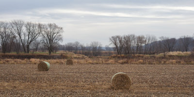 Bales by the Maquoketa