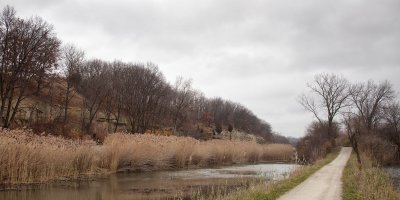 Towpath and Reeds
