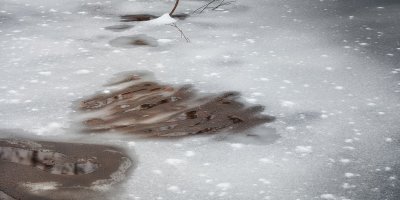 Winter Puddles 