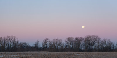 Marsh and Moon