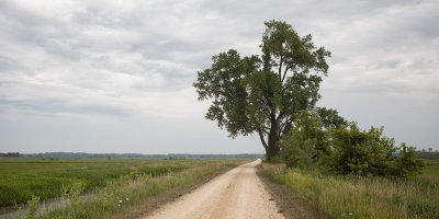 Road to Fish Lake 