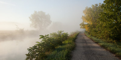 Early Morning Fog 