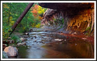 West Fork of Oak Creek