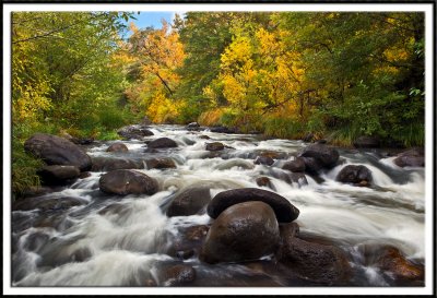 Autumn Splendor Along Oak Creek