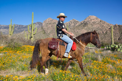 Horseback Rider at Catalina State Park