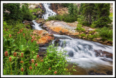 Lake Creek Waterfalls and Wildflowers
