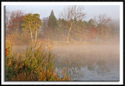 Fog Burn-Off