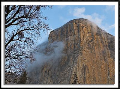 Morning Fog Clinging To El Capitan