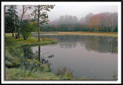 Foggy Pond