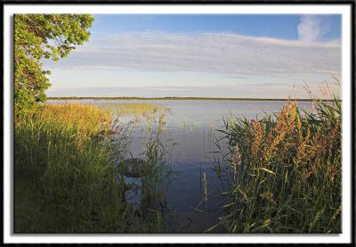 Calm Morning on Kabetogama