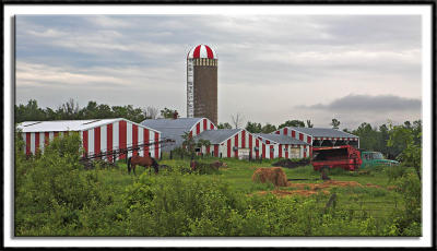 Candy-Striped Farm