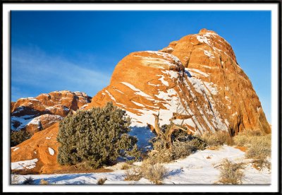 Red Rock Fin at the Devil's Garden