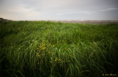 near pugwash, nova scotia