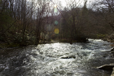 River 2.jpg