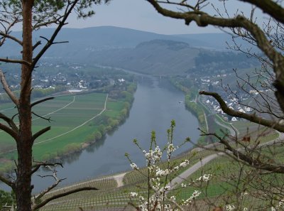 Moselle valley near Bernkastel