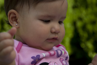 Alexa-Nikon-65.jpg