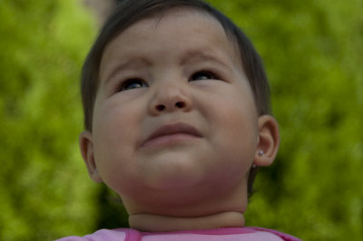 Alexa-Nikon-66.jpg