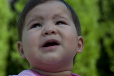 Alexa-Nikon-73.jpg