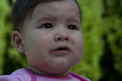 Alexa-Nikon-75.jpg
