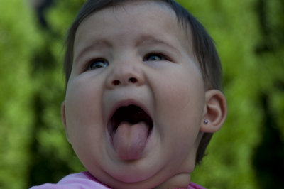 Alexa-Nikon-79.jpg